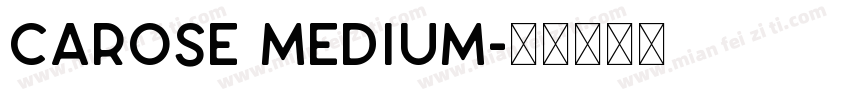 CAROSE Medium字体转换